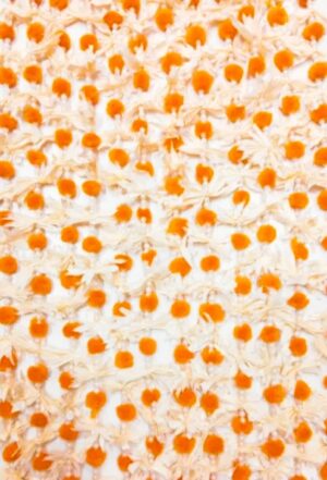 Mayoon / Mehndi Lari (White Yellow) (Length :Approx 5 ft) (6 pcs packet)