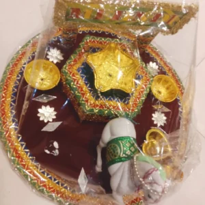 Mehndi Horse Platter