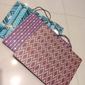 Stylish Hand Bags (10"x14")