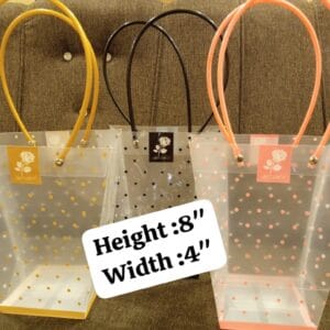 Cone Style Transparent Pvc Style Leather Strapped Hand Bag (4nch x 8inch)